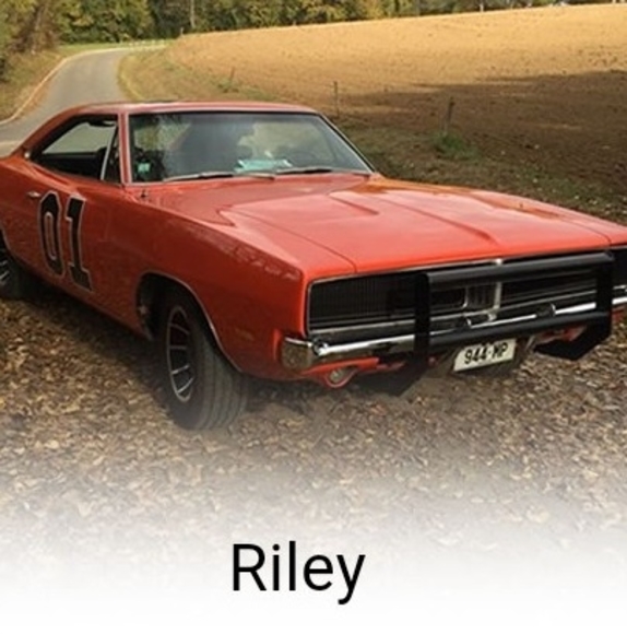 Meet your Posher, Riley - Picture 1 of 1